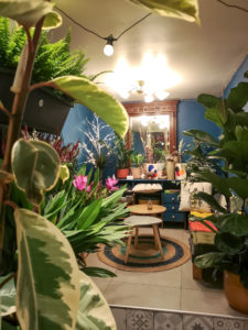 Prenez le temps de descendre au sous-sol de Capsule végétale pour vous installer dans le petit salon végétalisé